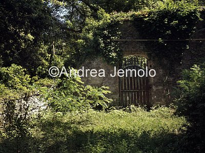 Villa Puccini  | Andrea Jemolo