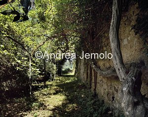 Villa Puccini  | Andrea Jemolo