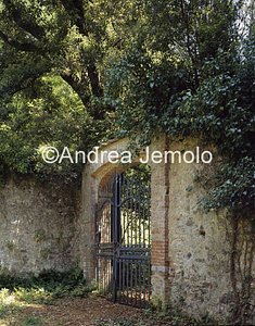 Villa Puccini  | Andrea Jemolo
