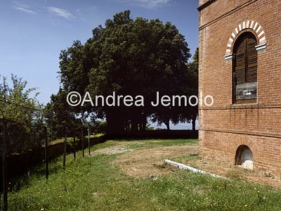 Villa Puccini  | Andrea Jemolo
