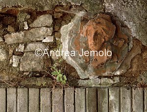 Villa Puccini  | Andrea Jemolo