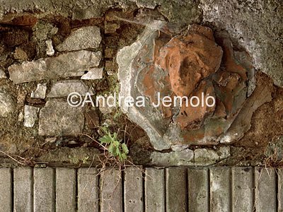 Villa Puccini  | Andrea Jemolo