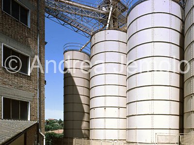 Castellina in Chianti | Andrea Jemolo