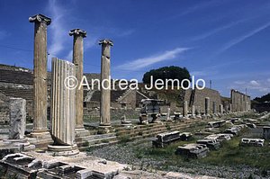 Asclepion  | Andrea Jemolo