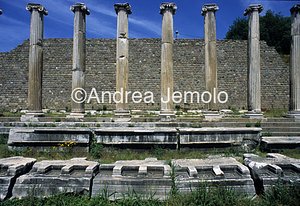 Asclepion  | Andrea Jemolo