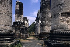 Temple of Artemis Columns | Andrea Jemolo