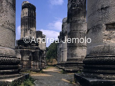 Temple of Artemis Columns | Andrea Jemolo