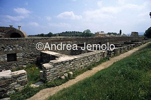 Road with shops  | Andrea Jemolo
