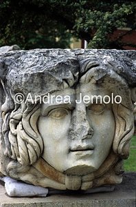 Head of Medusa  | Andrea Jemolo