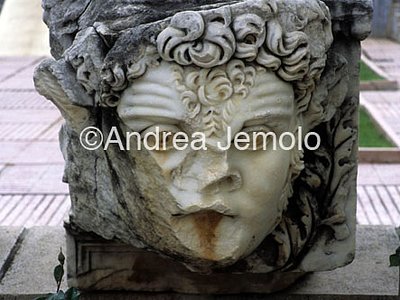 Testa femminile  | Andrea Jemolo