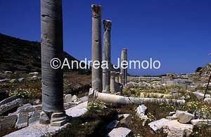 Road with columns  | Andrea Jemolo