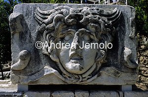 Head of Medusa  | Andrea Jemolo