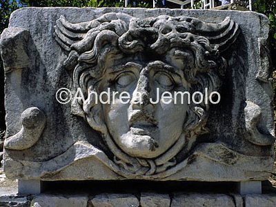 Head of Medusa  | Andrea Jemolo
