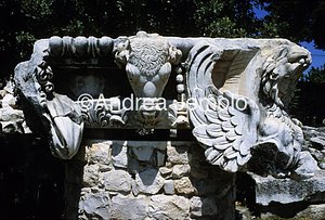 Capital  | Andrea Jemolo