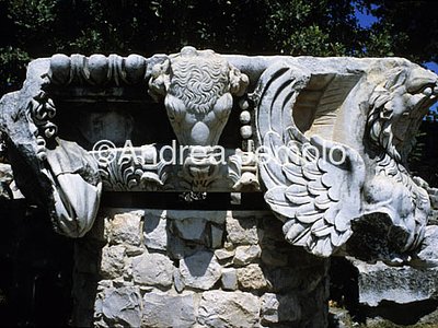 Capital  | Andrea Jemolo