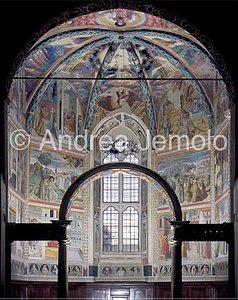 St. Francesco The cycle of the frescos | Andrea Jemolo