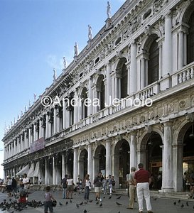 Library General view | Andrea Jemolo