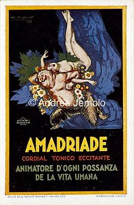 Liquori Amadriade Cartolina pubblicitaria | Andrea Jemolo