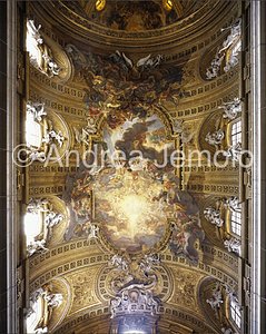 Church of Gesù Vault of the nave | Andrea Jemolo