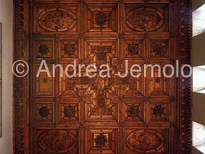 Palazzo Farnese Soffitto del salone | Andrea Jemolo