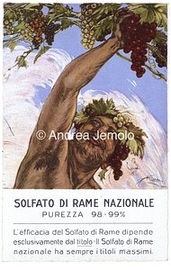 Solfato di rame Cartolina pubblicitaria | Andrea Jemolo