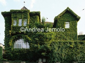 Wohnblock  | Andrea Jemolo