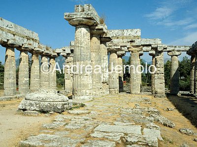 Temple of Hera known as Basilica  | Andrea Jemolo