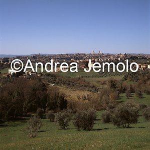 General View  | Andrea Jemolo
