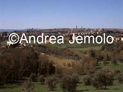 Chianti - Siena | Andrea Jemolo