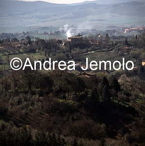 Landscape  | Andrea Jemolo