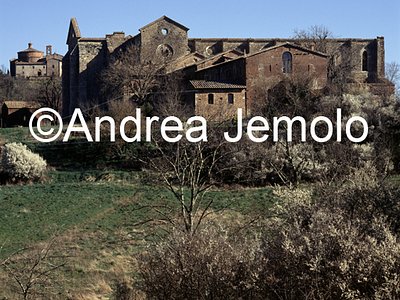 Abazia di San Galgano  | Andrea Jemolo