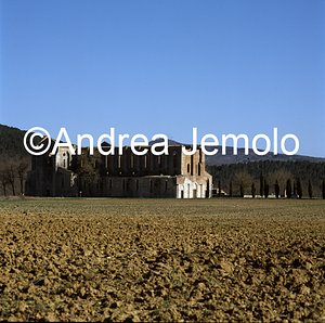 Abbey of St. Galgano  | Andrea Jemolo