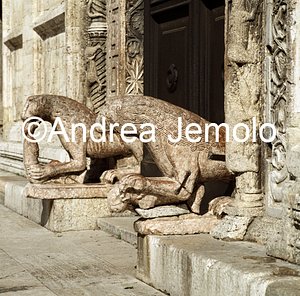 St. Ruffino Portal - Statues of Lions | Andrea Jemolo