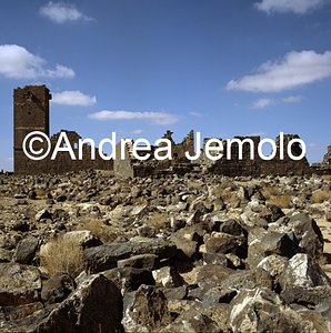   | Andrea Jemolo