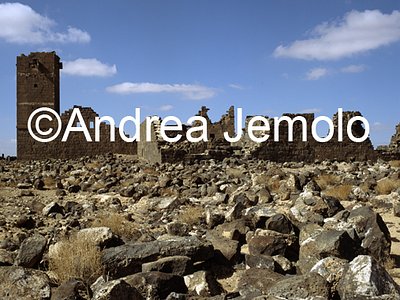   | Andrea Jemolo