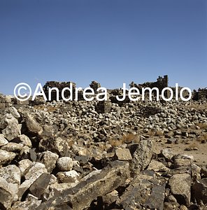   | Andrea Jemolo