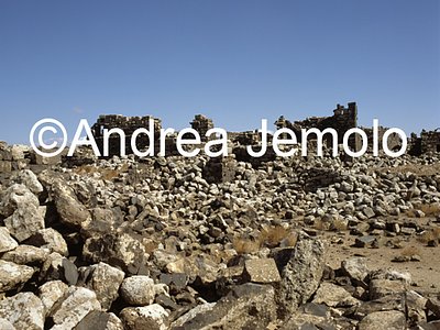   | Andrea Jemolo