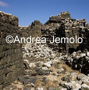   | Andrea Jemolo