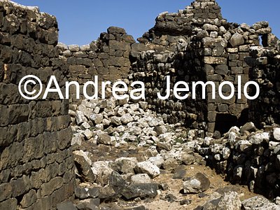   | Andrea Jemolo