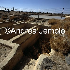   | Andrea Jemolo
