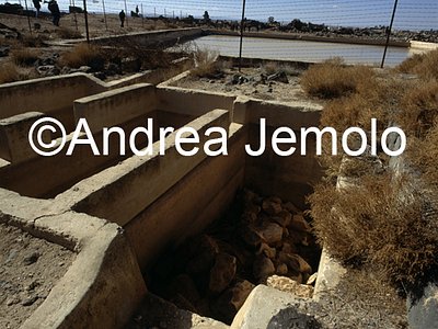   | Andrea Jemolo