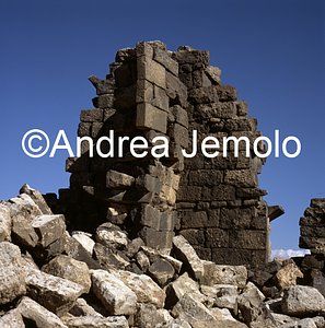   | Andrea Jemolo