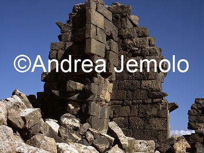   | Andrea Jemolo