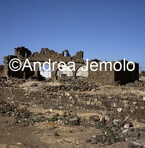   | Andrea Jemolo