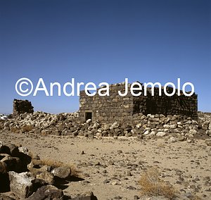   | Andrea Jemolo