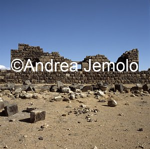   | Andrea Jemolo