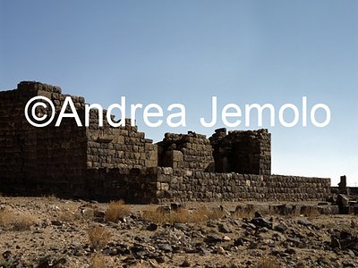  | Andrea Jemolo