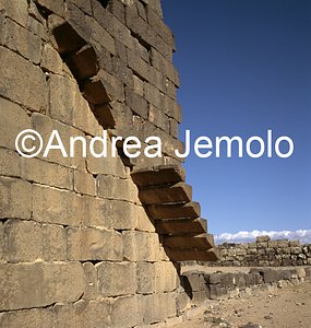   | Andrea Jemolo