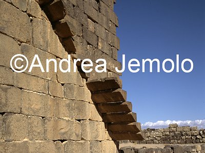   | Andrea Jemolo