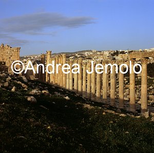 Cardo maximus  | Andrea Jemolo